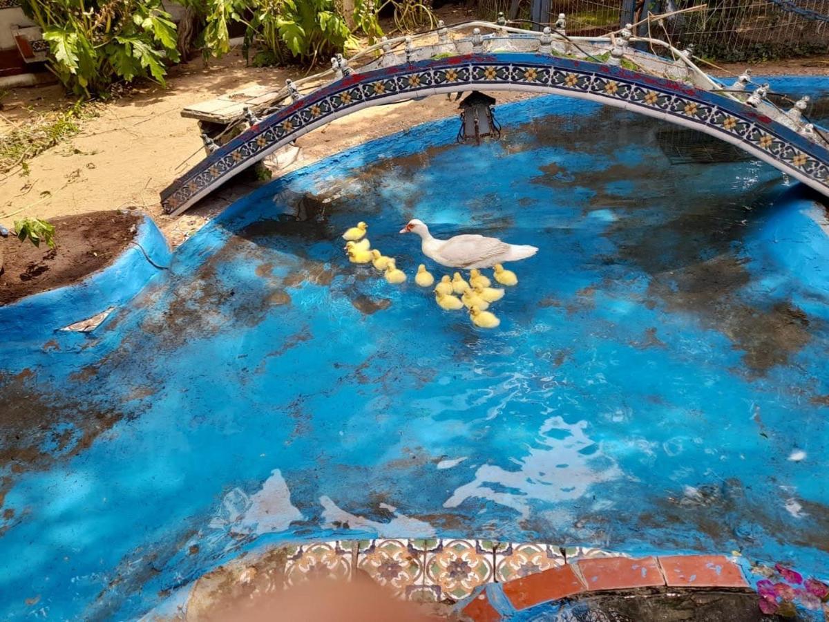 La Posada Del Sol Villa Gesell Exteriér fotografie