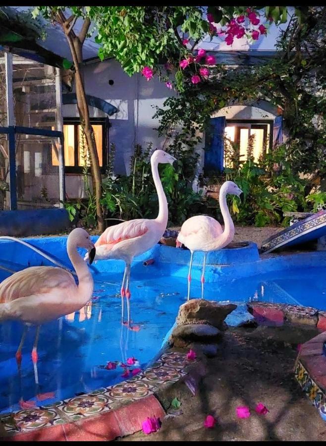 La Posada Del Sol Villa Gesell Exteriér fotografie